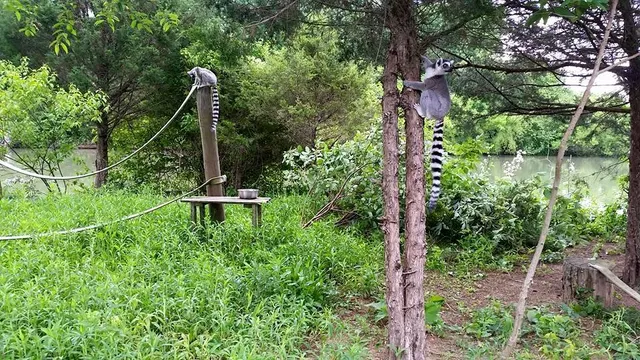 Leesburg Animal Park