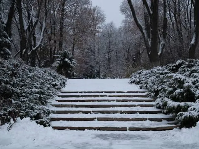 Parc Georges Brassens