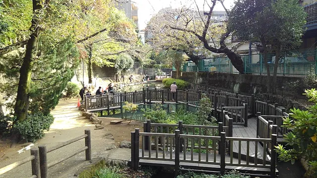 Hikawa Tsuribori Park