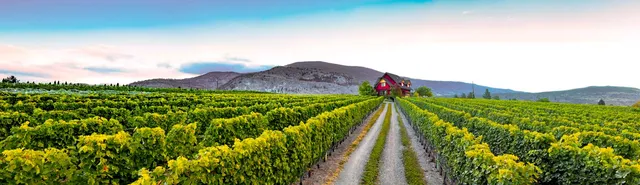 River Stone Estate Winery