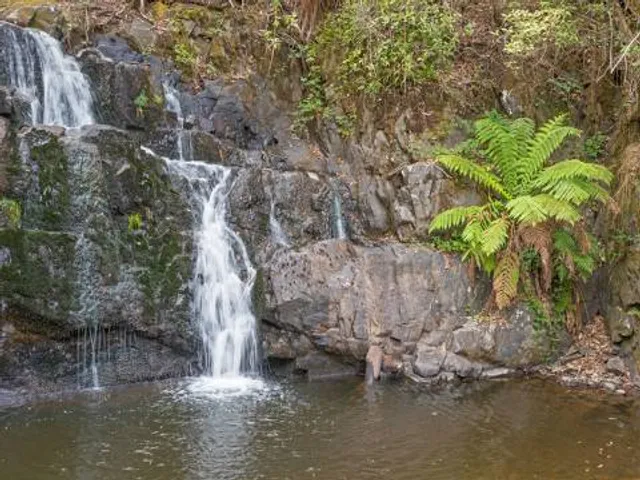 Lilydale Falls