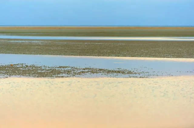 Detwah Lagoon Ramsar Site