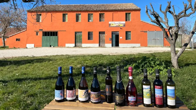 Sor Rico Winery