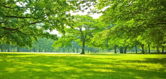 Woodland Hills Nature Park