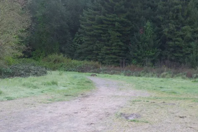 Náučný chodník Čutkovská dolina, známa – neznáma