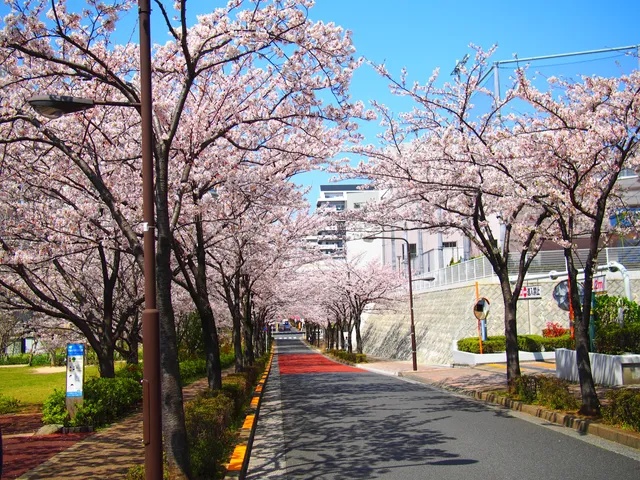 Komatsugawa Yukiyanagi Park