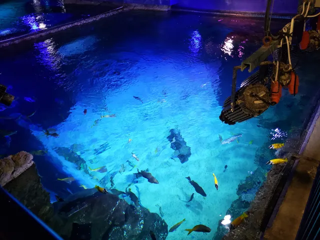 SEA LIFE Orlando Aquarium