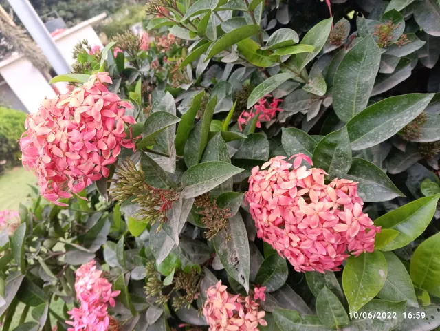 photo-1