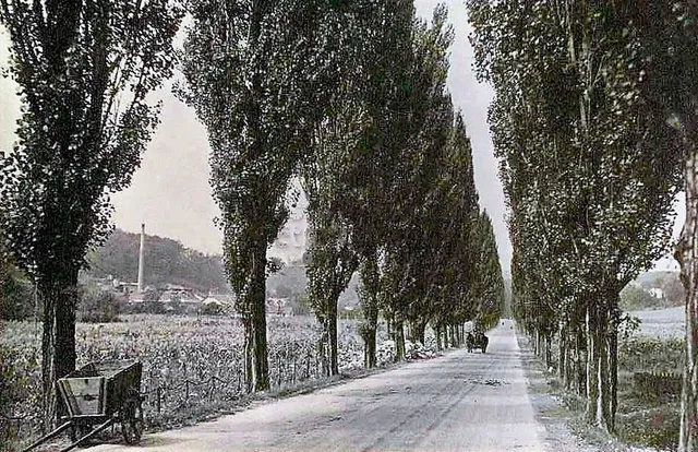 Papierfabrik Diósgyőr, Museum der Papierindustrie