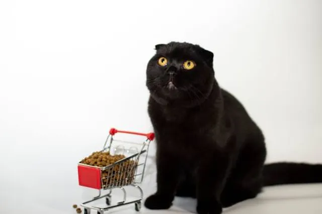 First Original McDonald's Museum