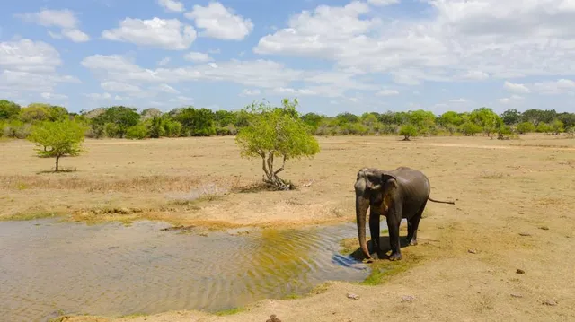 Kumana National Park