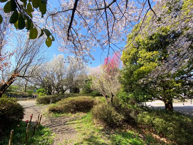 Bukko Yashizuka Park