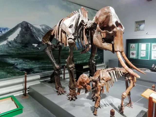 Muzey Prirody I Okhrany Okruzhayushchey Sredy