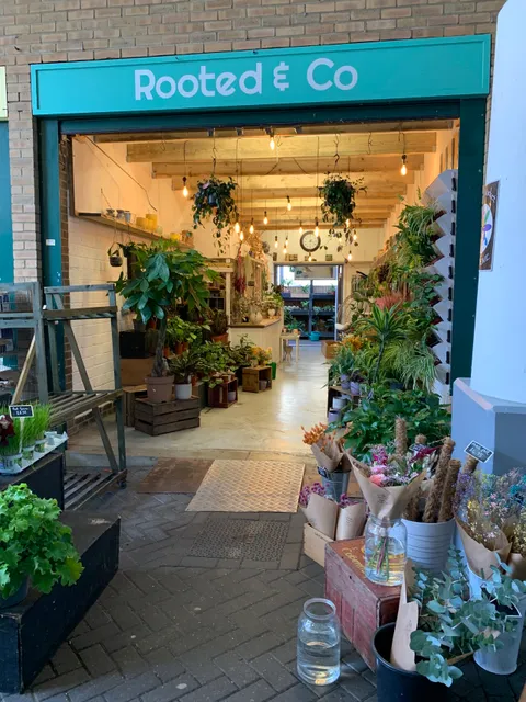 Brighton Open Market