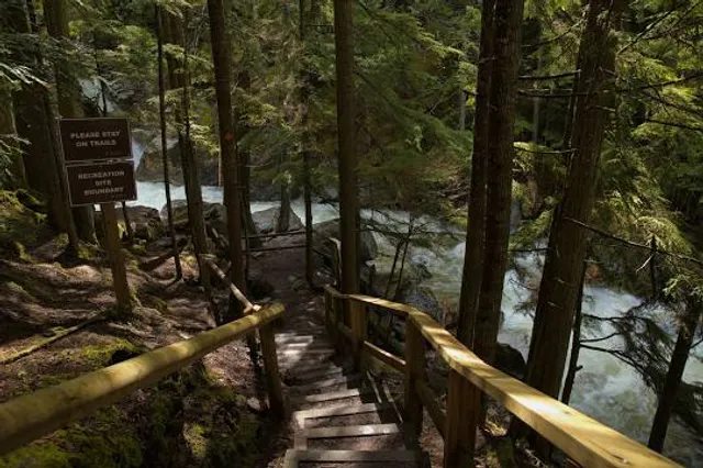 Sicamous Creek Trails