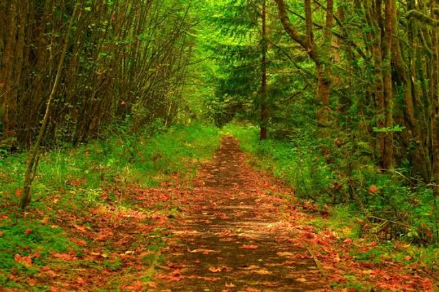 Elendsklamm - Naturdenkmal