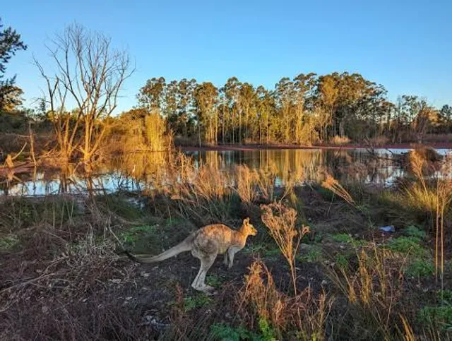 Cattai National Park