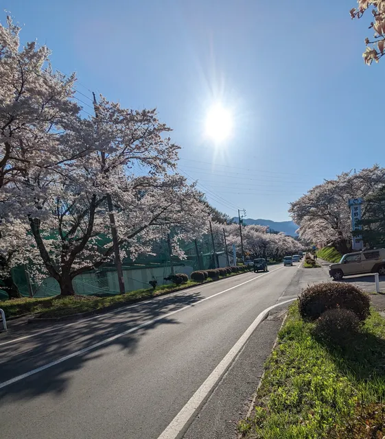 Chino City Sports Park
