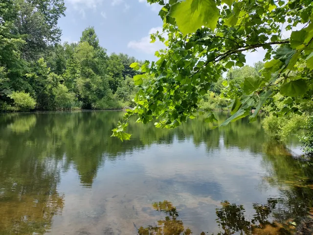 Saunders-Monticello Trail