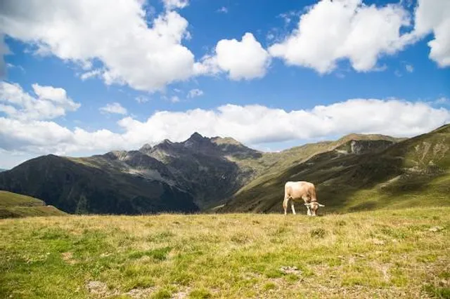 Nostra Signora d’Europa