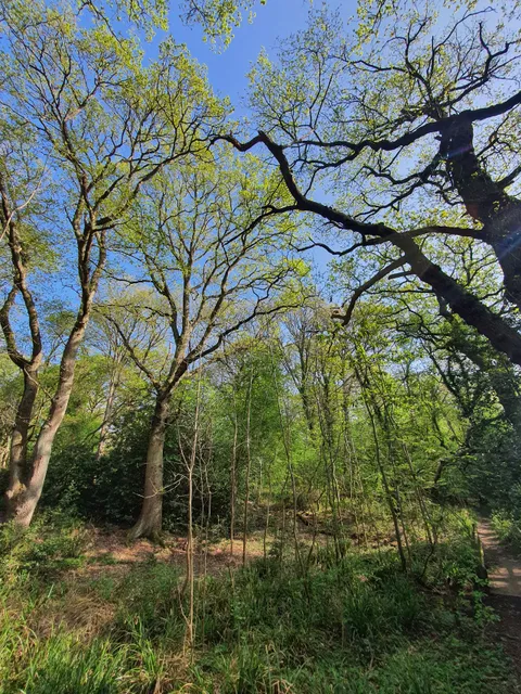 Stanmore Country Park, London