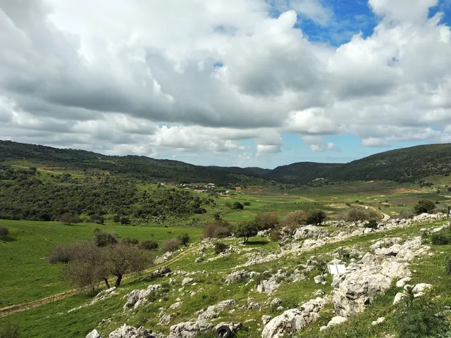 Nahal Sarach Reserve