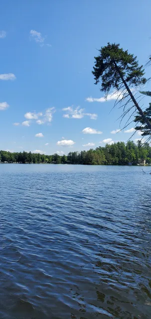 Otter Lake
