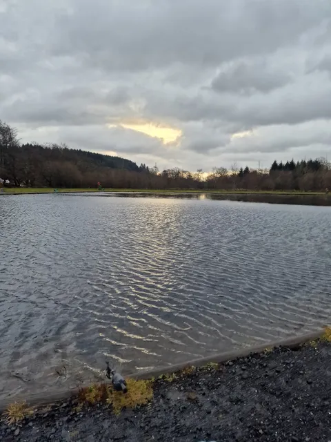 Carbeth Fishery & Cafe