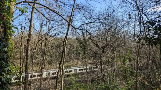 New Cross Gate Cutting, London Wildlife Trust