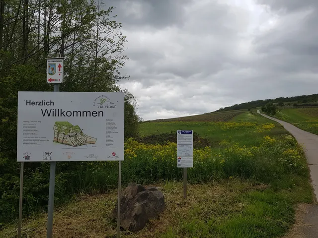 Via Vinea