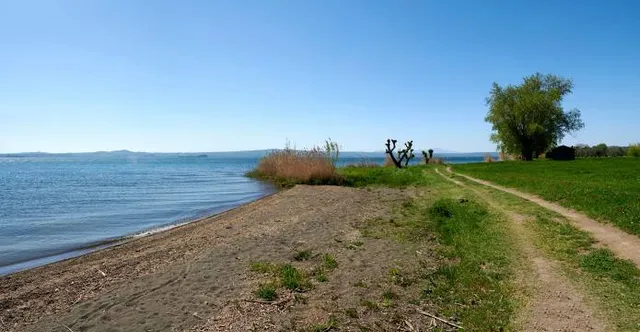 Kinneil Local Nature Reserve