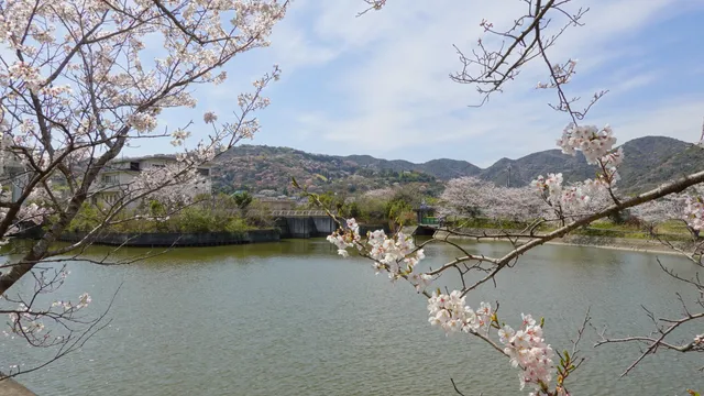 Akojonan Ryokuchi Park