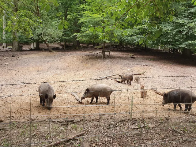 Wildpark Karlsbrunn
