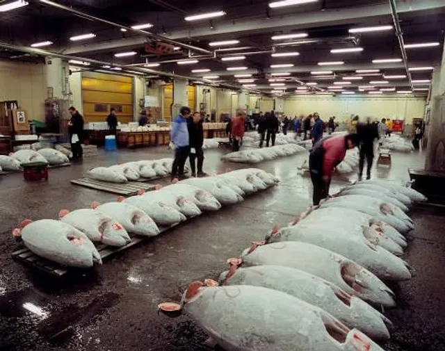 Tsukiji Outer Market
