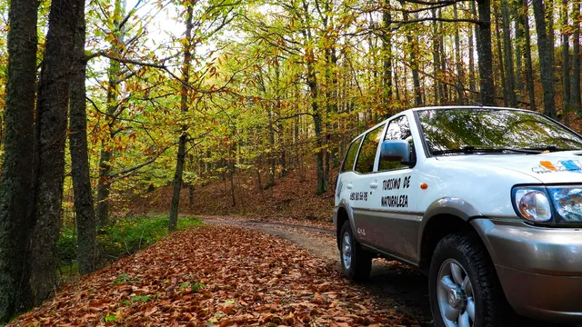 VIVE AMBROZ Turismo de Naturaleza