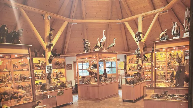 Naturerlebnis Bruckmühl