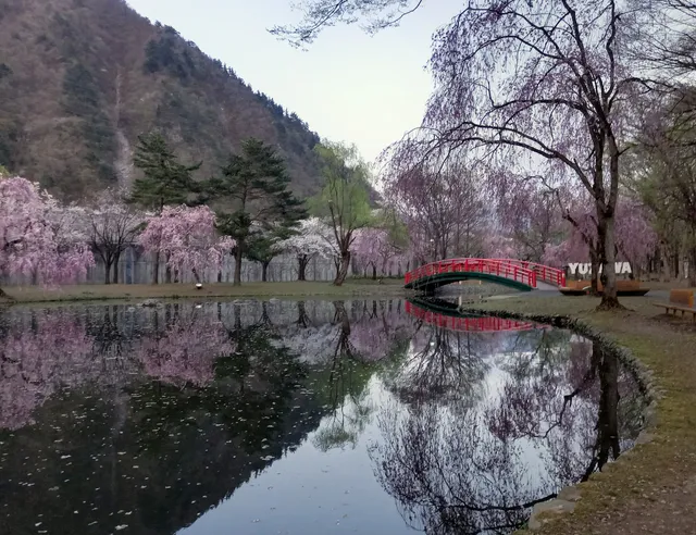 Yuzawa Central Park