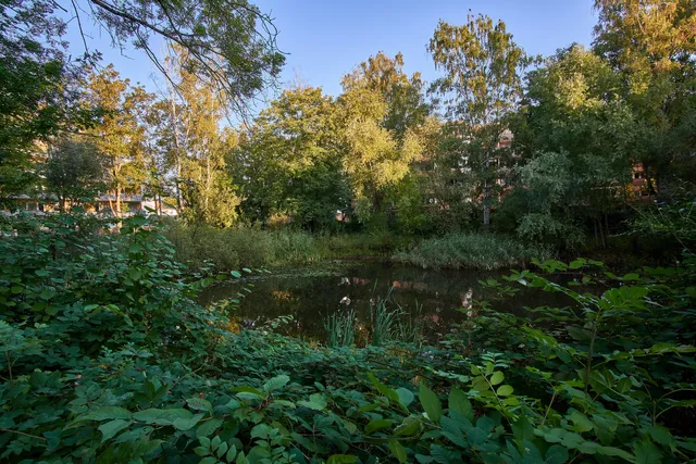 Kleiner Waidsee Hemsbach