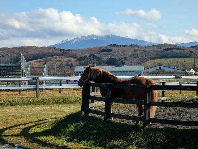 Urakawacho Jobakoenkurabuhausu