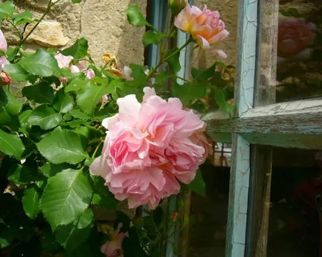 Château de Cormatin