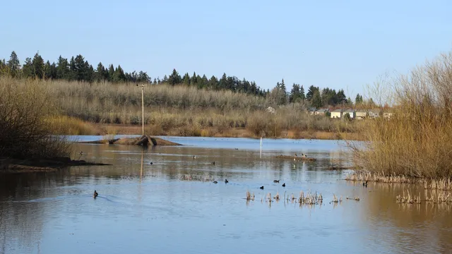 Jackson Bottom Wetlands Preserve