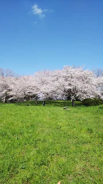 Site of Kurosaki Castle