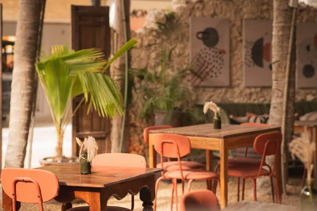 Tierrasal - Leña y Fuego