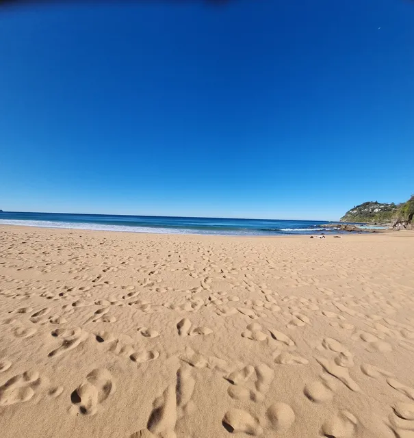 Whale Beach Surf Life Saving Club