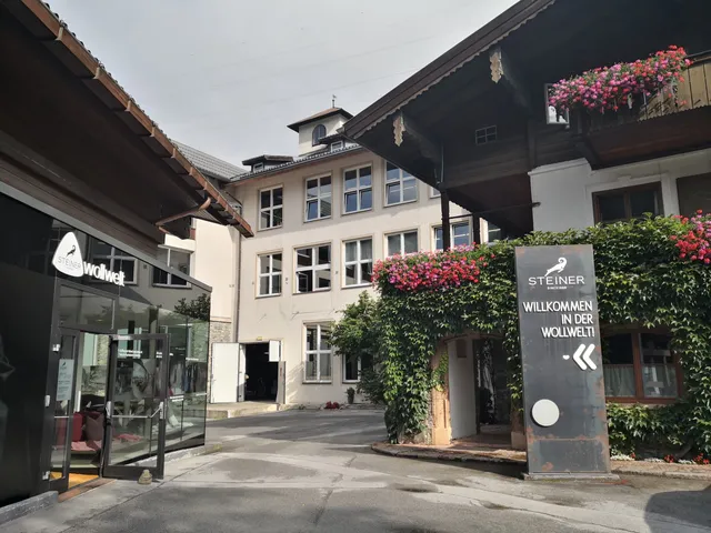 Steiner1888 Wollwelt