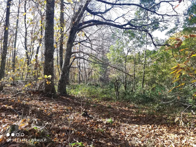 Ruta del Castañar (SL-CC 6) - Inicio de ruta