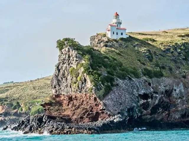 Taiaroa Head