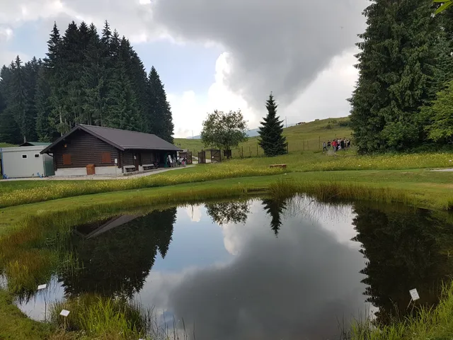 photo-1