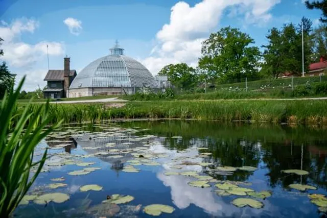 Bergianska trädgården