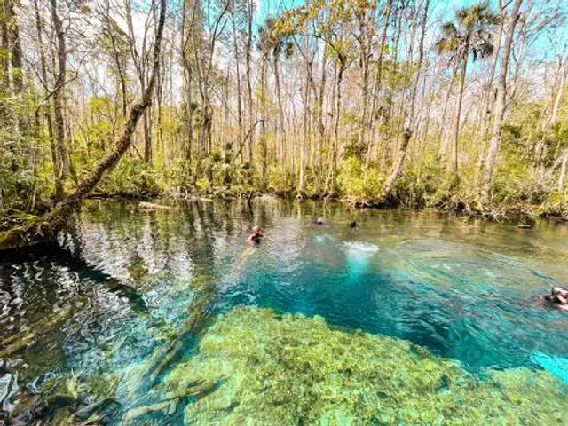 Chassahowitzka Wildlife Management Area